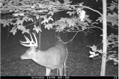 14406 50th Street, Grand Junction, MI 49056 - Photo 15