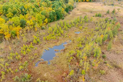 14406 50th Street, Grand Junction, MI 49056 - Photo 11