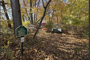 11515 Riviera Dr, New Buffalo, MI 49117 - Photo 33