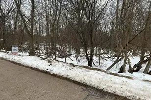 250 N 16th Street N, Springfield, MI 49037 - Photo 1