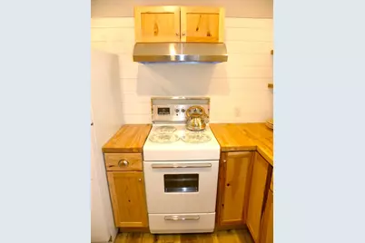 16211 Pretty Lake Drive, Mecosta, MI 49332 - Photo 43