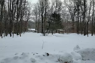 50519 Co Rd 388, Grand Junction, MI 49056 - Photo 3