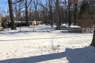 10401 Ozga St, Romulus, MI 48174 - Photo 33