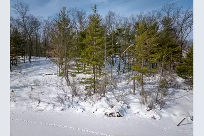 8310 N Perch Lake Drive, Bitely, MI 49309 - Photo 7