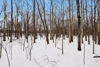 772 39th Street, Allegan, MI 49010 - Photo 35