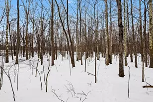 772 39th St, Allegan, MI 49010 - Photo 35