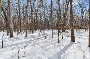 3177 Lighthouse Way, Saugatuck, MI 49453 - Photo 15