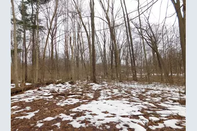 1050 Pine Street, Niles, MI 49120 - Photo 43