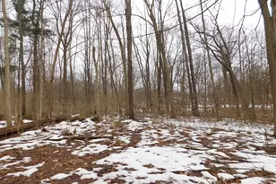 1050 Pine St, Niles, MI 49120 - Photo 43