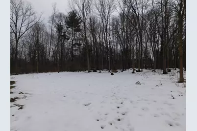 1050 Pine Street, Niles, MI 49120 - Photo 39