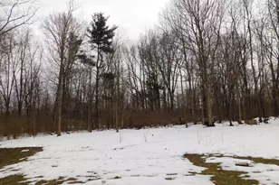 1050 Pine St, Niles, MI 49120 - Photo 45