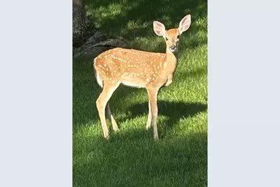 3345 Brook Trail SE, Grand Rapids, MI 49508 - Photo 41