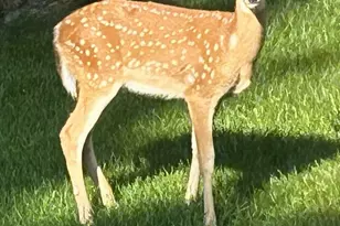 3345 Brook Trail SE, Grand Rapids, MI 49508 - Photo 41