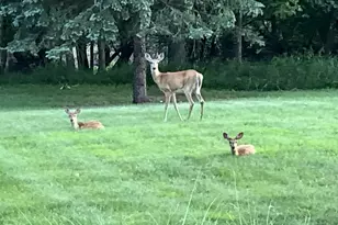 3345 Brook Trail SE, Grand Rapids, MI 49508 - Photo 39