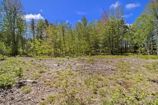 Lot 35/36 Pine Ridge Dr, Ludington, MI 49431 - Photo 15
