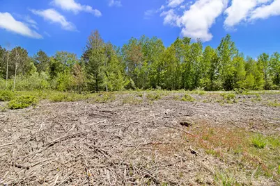 Lot 35/36 Pine Ridge Drive, Ludington, MI 49431 - Photo 11