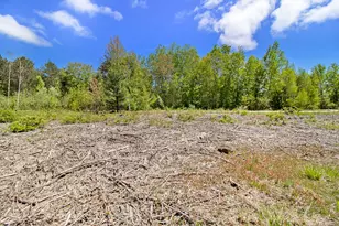 Lot 35/36 Pine Ridge Dr, Ludington, MI 49431 - Photo 11