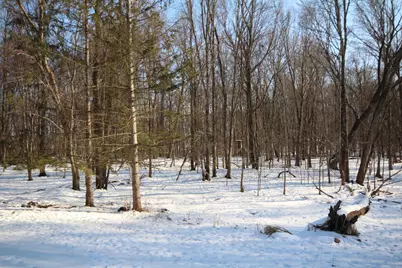 25395 Flach Road, Mendon, MI 49072 - Photo 29