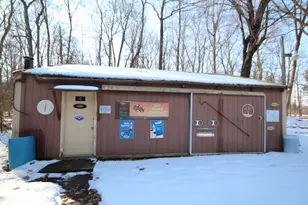 25395 Flach Rd, Mendon, MI 49072 - Photo 31