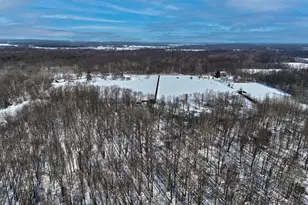 31643 Frost St, Dowagiac, MI 49047 - Photo 61