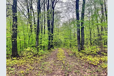 Vl N Partridge Lane, Mancelona, MI 49659 - Photo 7