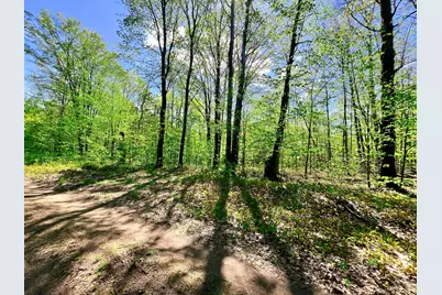 Vl N Partridge Lane, Mancelona, MI 49659 - Photo 3