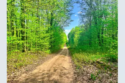 Vl N Partridge Lane, Mancelona, MI 49659 - Photo 5