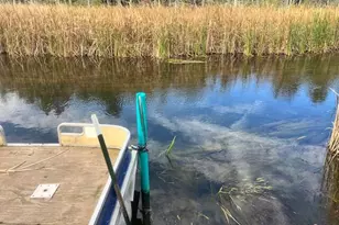 5683 N Tyndall Rd, Branch, MI 49402 - Photo 45