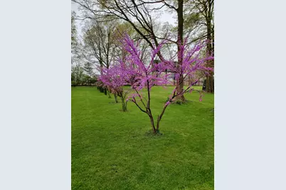 130 South Street, Schoolcraft, MI 49087 - Photo 23