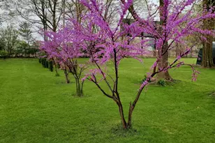 130 South St, Schoolcraft, MI 49087 - Photo 23