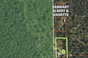 11164 N Merrillville Rd, Irons, MI 49644 - Photo 19