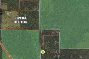 11164 N Merrillville Rd, Irons, MI 49644 - Photo 19