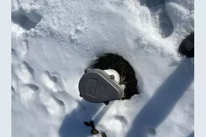 9026 W Coleman Road, Lake, MI 48632 - Photo 35