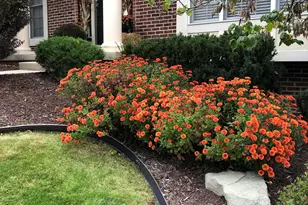 4501 Hickory Grove Ct NE, Ada, MI 49301 - Photo 45