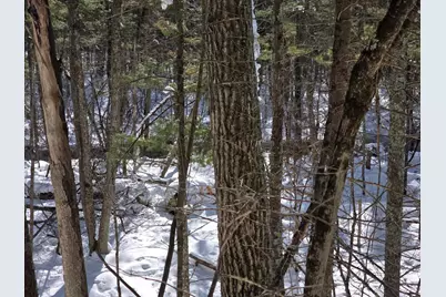 8683 W Peterson Road, Irons, MI 49644 - Photo 5