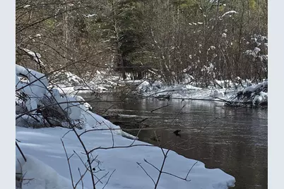 8683 W Peterson Road, Irons, MI 49644 - Photo 1