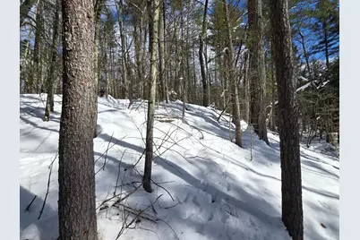 8683 W Peterson Road, Irons, MI 49644 - Photo 7