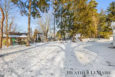 159 Louise Street NE, Rockford, MI 49341 - Photo 43