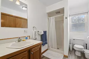 224 Pleasant Ave SE, Caledonia, MI 49316 - Photo 15