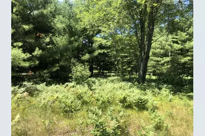 4682 N Evergreen Drive, White Cloud, MI 49349 - Photo 7