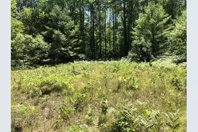 4682 N Evergreen Drive, White Cloud, MI 49349 - Photo 3