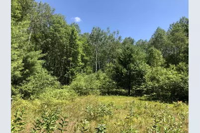 4682 N Evergreen Drive, White Cloud, MI 49349 - Photo 9