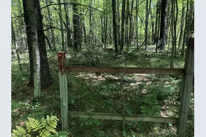 4682 N Evergreen Drive, White Cloud, MI 49349 - Photo 5