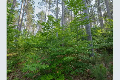 Vl W Phelps Road, Manton, MI 49663 - Photo 9