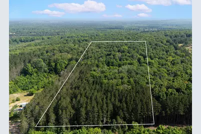 Vl W Phelps Road, Manton, MI 49663 - Photo 1