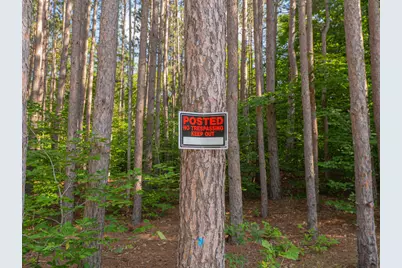 Vl W Phelps Road, Manton, MI 49663 - Photo 15