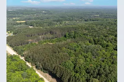 Vl W Phelps Road, Manton, MI 49663 - Photo 3