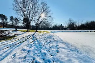 440 E Francis St, Nashville, MI 49073 - Photo 43