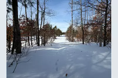 N N Felch Ave Avenue, White Cloud, MI 49349 - Photo 7