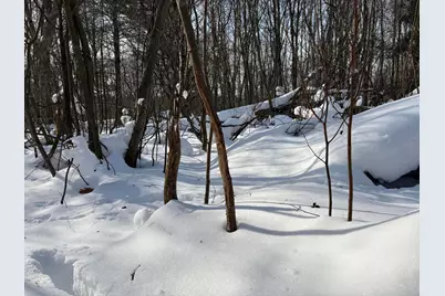 N N Felch Ave Avenue, White Cloud, MI 49349 - Photo 17